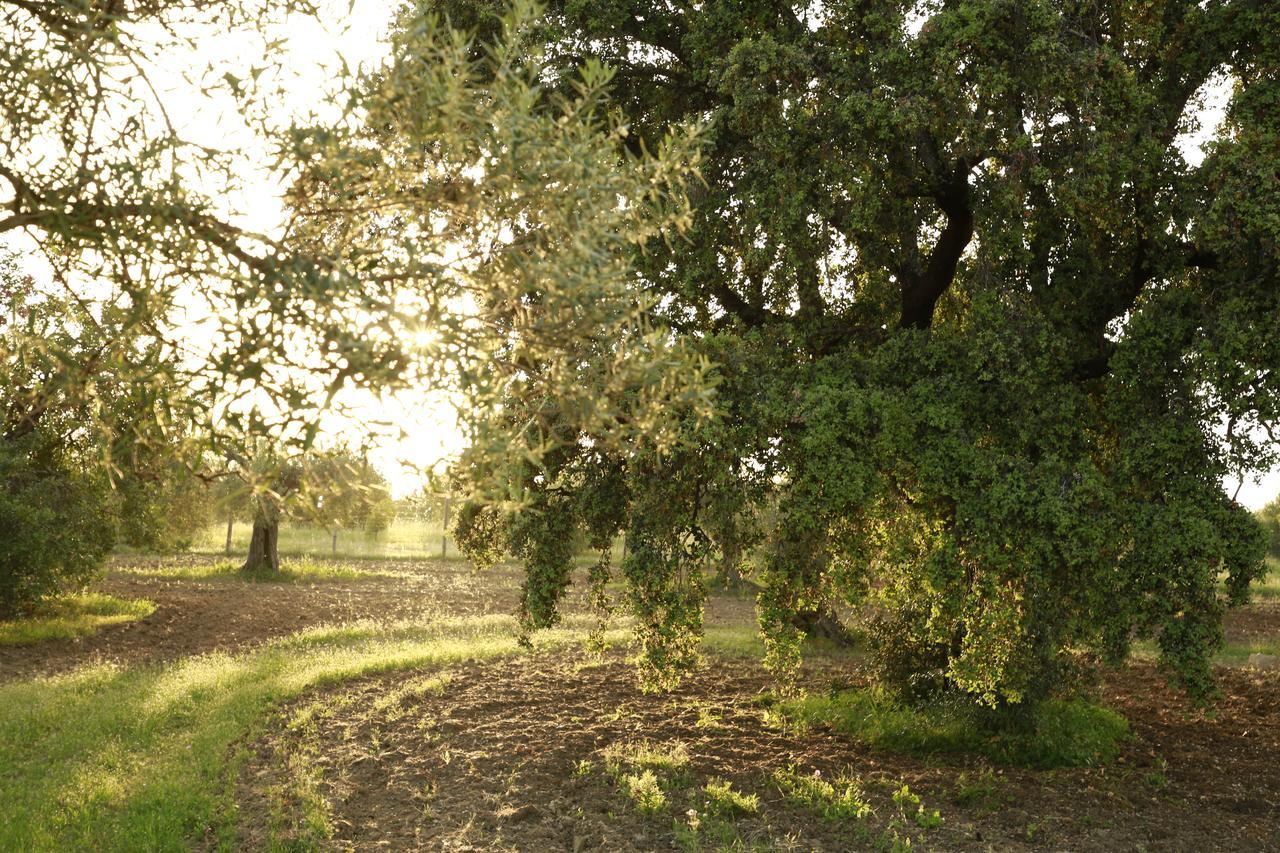 Fazenda Nova Country House Тавира Екстериор снимка